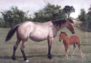 Studies of Animals (3) by Stephen Briggs Carlil