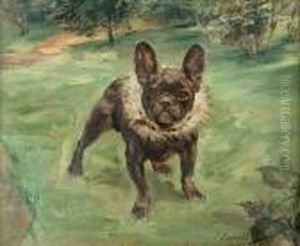 Standing French Bulldog by Paul Kapell