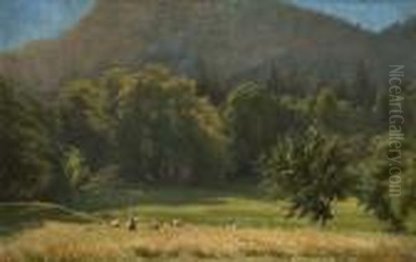 Heuernte In Stimmungsvoller Landschaft - view 1