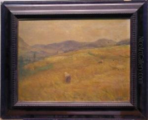 In The Hay Fields - view 1