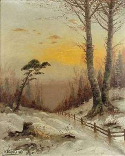 Winterliche Waldlandschhaft Beisonnenuntergang - view 1