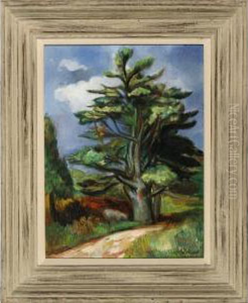 Pine Tree - view 1