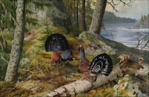 Metsojensoidintaa. by Matti Karppanen