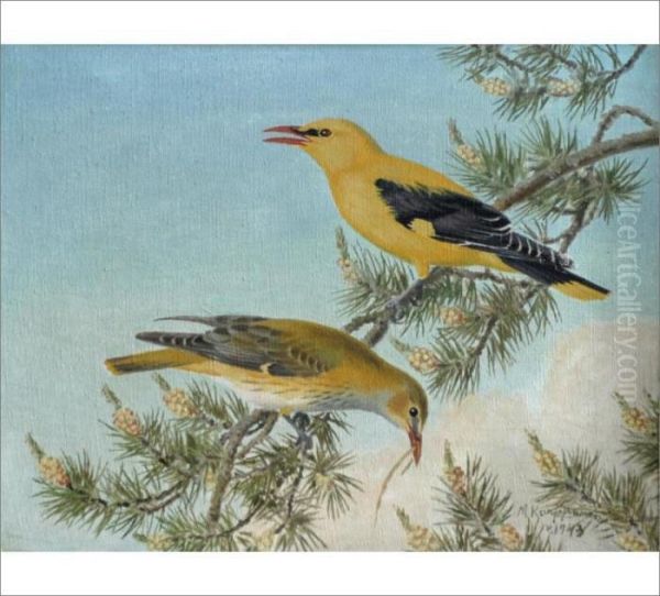Oriole - view 1