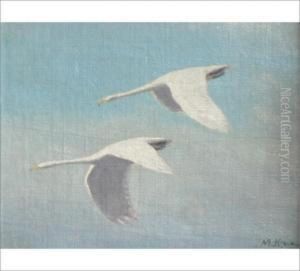 Swans by Matti Karppanen