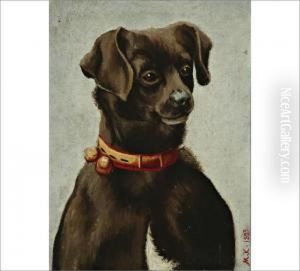 Dog by Matti Karppanen