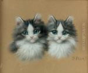 Zwei Katzchen. by Burkhard Katzen-Flury