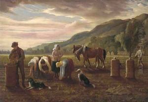 The potato pickers