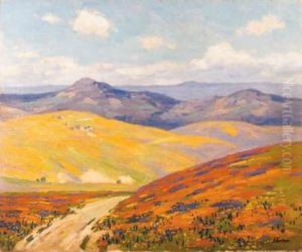 Springtime In Foothills Of The Tehachapi Mountains,california - view 1