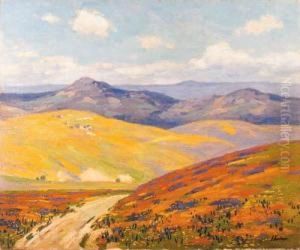 Springtime In Foothills Of The Tehachapi Mountains,california by Ferdinand Kaufmann