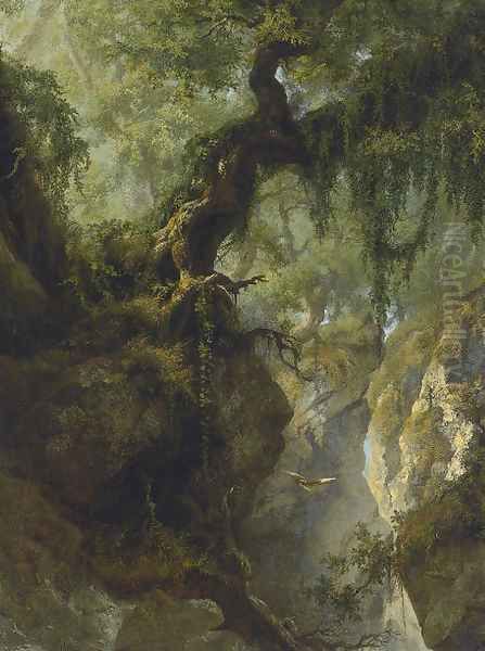 The Depths of the Forest - view 1