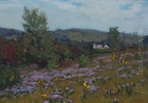 Asters And Goldenrod, Near Worcester, Mass. by William Jurian Kaula
