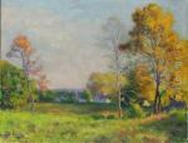 Hickory Trees - view 1