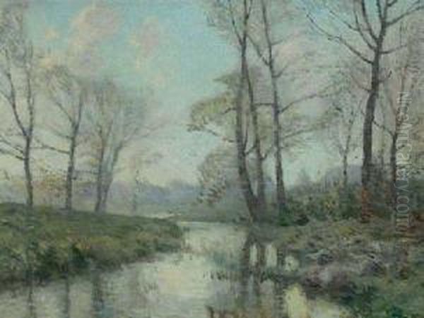 Woodland Stream - view 1