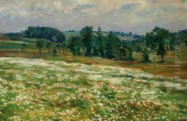 Sommerlandschaft - view 1