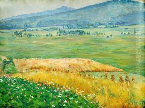 Krajina - view 1