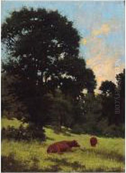 The Stately Elm - view 1