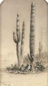 Giant Cactus in the Gila Desert by Rudolf (Daniel Ludwig) Cronau