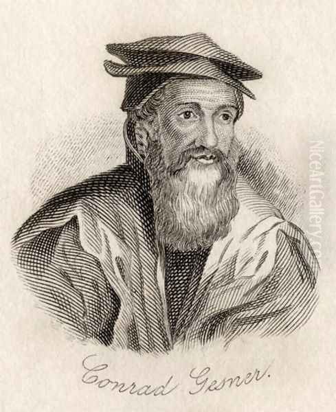 Conrad Gesner - view 1