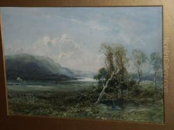 An Extensive Landscape, With Cows, Trees And Hills - view 1