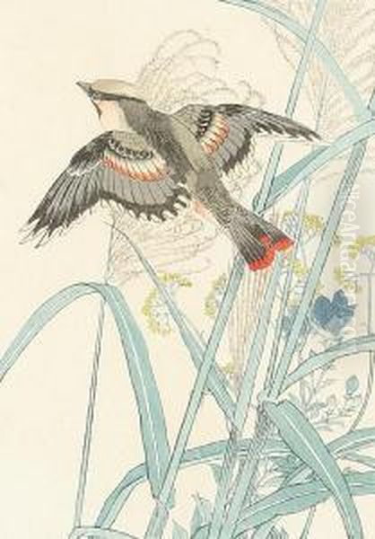 A Bird Flying Amongst Reeds - view 1