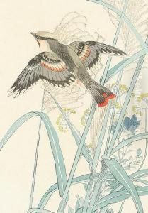 A Bird Flying Amongst Reeds by Imao Keinen