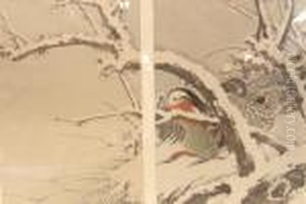 Mandarin Ducks - view 1