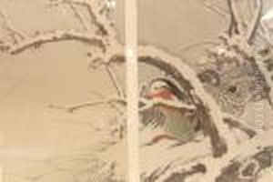 Mandarin Ducks