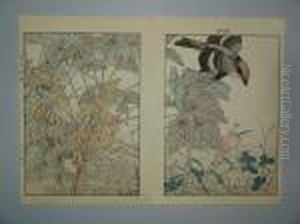 Oiseaux Des 4 Saisons by Imao Keinen