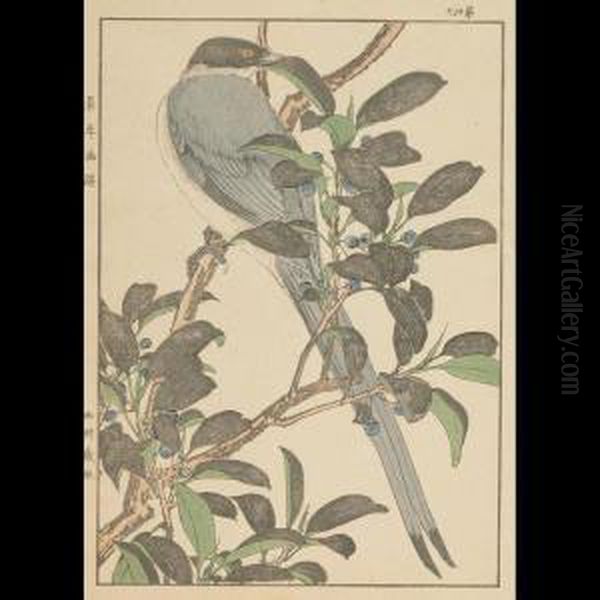 Shorebird And Lotus - view 1