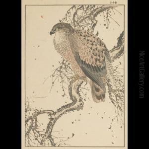 Hawk by Imao Keinen