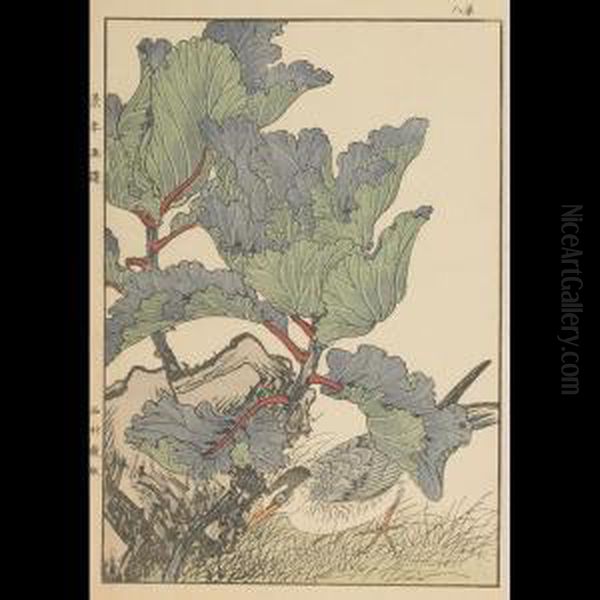 Blue Winged Bird Under Brassica - view 1