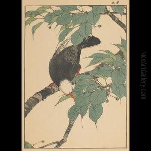 Blackbird On Berry Tree - view 1