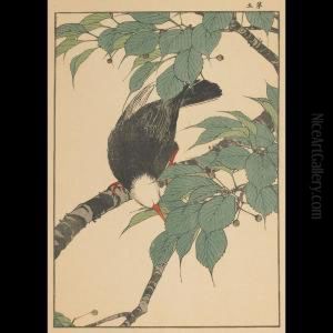 Blackbird On Berry Tree by Imao Keinen