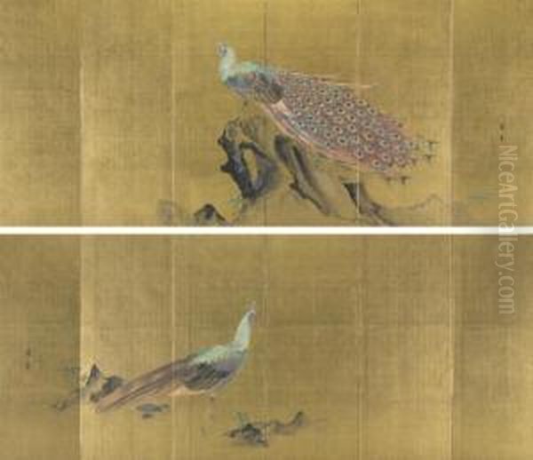 Peacocks - view 1