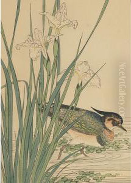 Crested Wading Bird And Iris - view 1