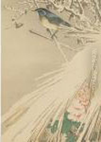 Bluebird On Peony In Snow - view 1