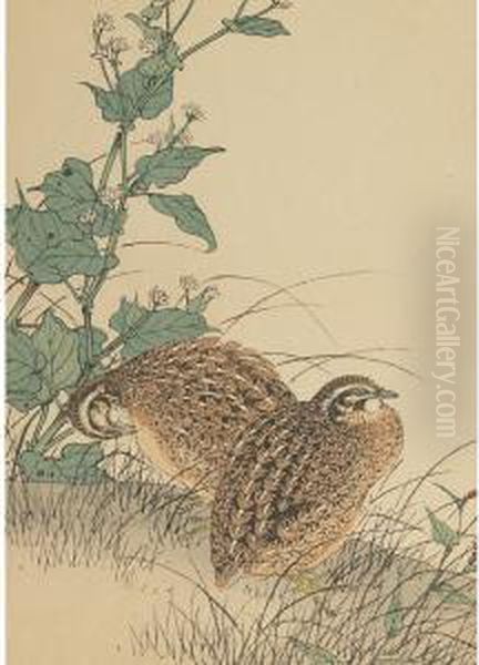 Two Quail - view 1