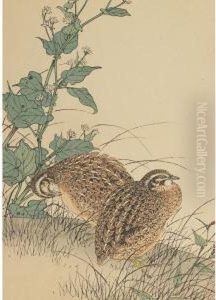Two Quail by Imao Keinen