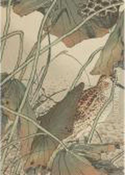 Shorebird And Lotus - view 1