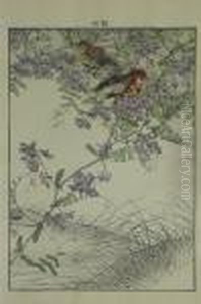 Keinen, Imayo . Br?stling-paar Auf Vogelwicke. Japan - view 1