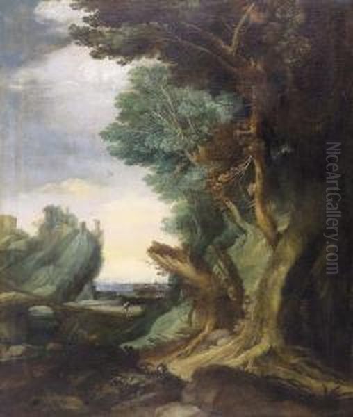 Wanderer In Waldlandschaft. - view 1