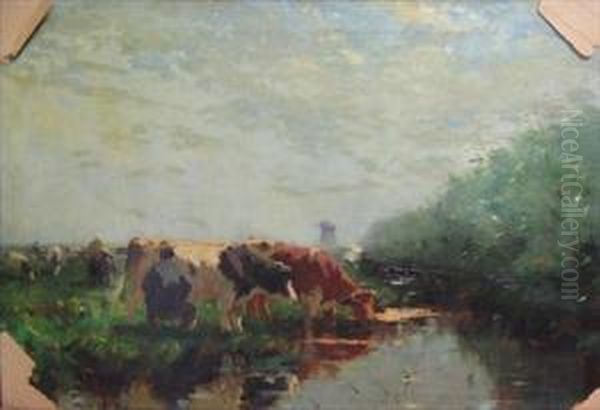 Cows Watering - view 1