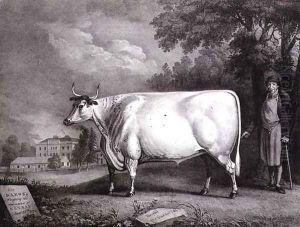 The Baron, a prize shorthorn (The Nannau White Cow), 1824 by Daniel Clowes