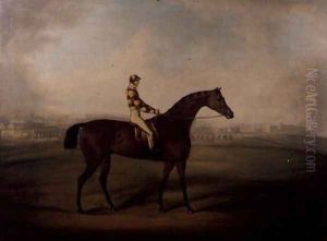 Portrait of Bruitandorf with jockey up and Chester Racecourse Beyond