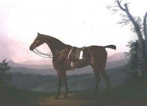 Portrait of a Race Horse