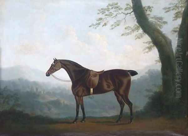 A bay hunter in an extensive landscape - view 1