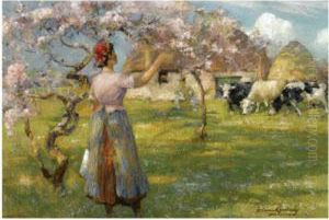 Spring Blossom Spring Blossom