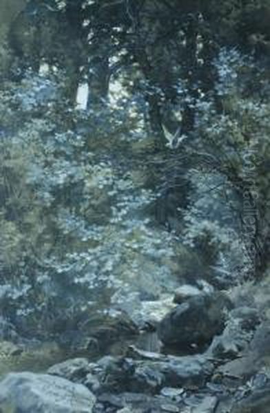 Landscape - view 1