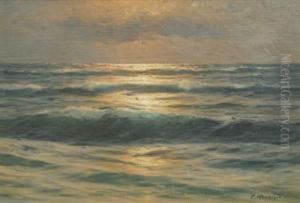 Abendsonne Uber Dem Meer by Carl Kenzler
